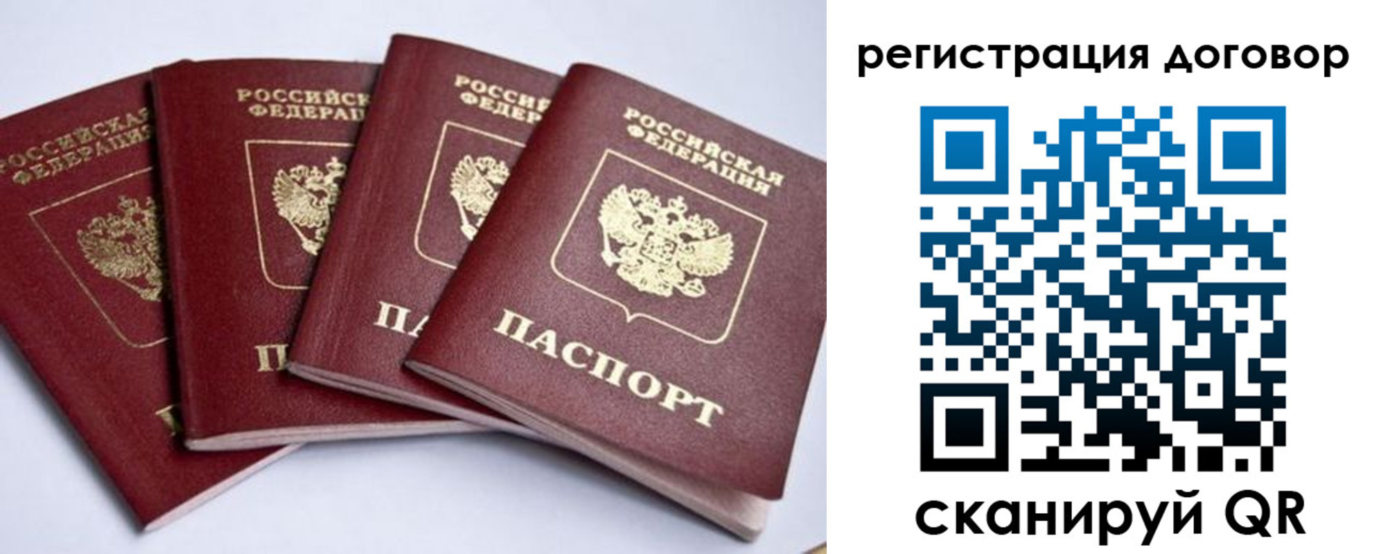 прописка поиск в Волгоградской области