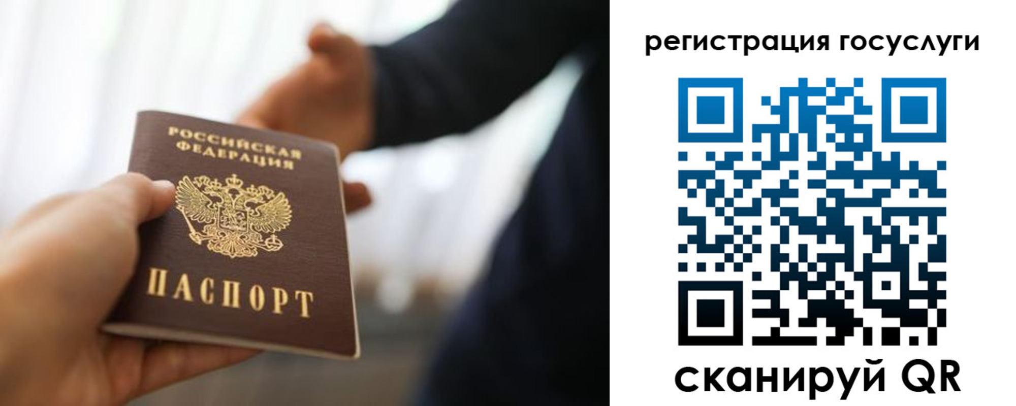 прописка в Волгоградской области